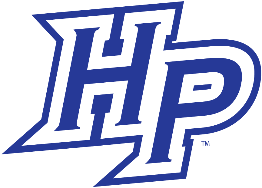 High Point Panthers 2004-2011 Alternate Logo v2 DIY iron on transfer (heat transfer)